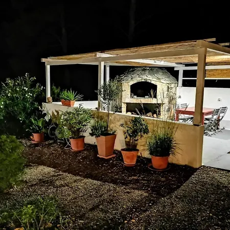 Dino - Gorgeous Garden