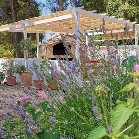 Dino - Gorgeous Garden *