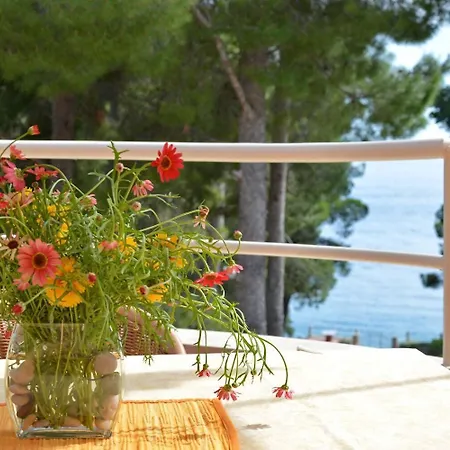 Apartment Dino - Gorgeous Garden