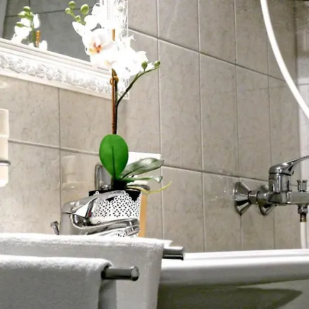 Apartments Dino דירה זבלה